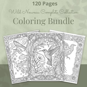 Peut inclure: Un ensemble de coloriage avec trois livres de coloriage de style art nouveau. Chaque livre pr&eacute;sente des illustrations d&eacute;taill&eacute;es d'oiseaux, de fleurs et de bordures d&eacute;coratives. Le texte de l'image indique "120 Pages Wild Nouveau Complete Collection Coloring Bundle."