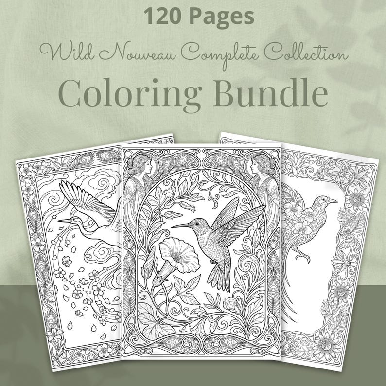 Peut inclure: Un ensemble de coloriage avec trois livres de coloriage de style art nouveau. Chaque livre pr&eacute;sente des illustrations d&eacute;taill&eacute;es d'oiseaux, de fleurs et de bordures d&eacute;coratives. Le texte de l'image indique "120 Pages Wild Nouveau Complete Collection Coloring Bundle."
