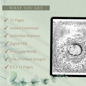 Wildlife Coloring Book Bundle, 6 Books, 72 Cottagecore Nature Habitat Printable Adult Coloring Pages PDF image 3