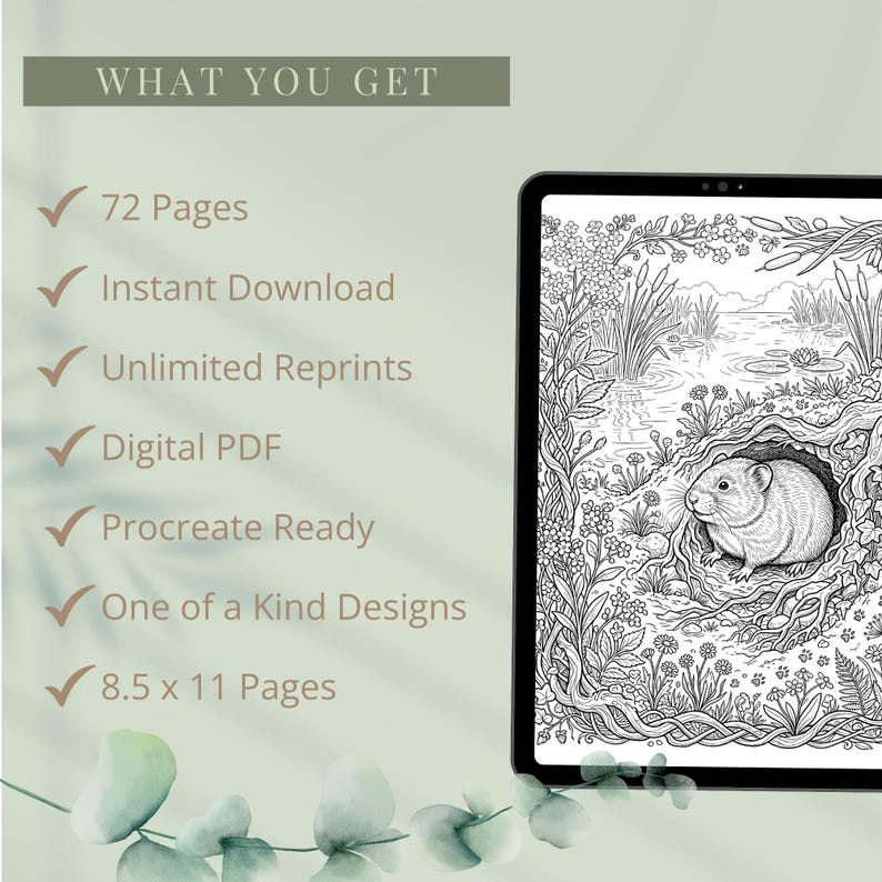 Wildlife Coloring Book Bundle, 6 Books, 72 Cottagecore Nature Habitat Printable Adult Coloring Pages PDF image 3
