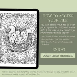 Wildlife Coloring Book Bundle, 6 Books, 72 Cottagecore Nature Habitat Printable Adult Coloring Pages PDF image 8