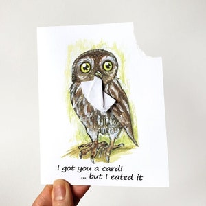 VENTE : carte de hibou, carte de correspondance drôle, joyeux anniversaire, note d'anniversaire pour les amoureux des oiseaux sauvages, art animalier, liquidation