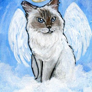 May include: A painting of a cat with angel wings and a halo, set against a blue sky with clouds. The cat has blue eyes and a white and brown coat. The text "Rainbow of Crazy" is visible.