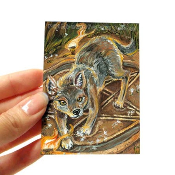 Coyote Print, ACEO Art Card, Magician Tarot Card, Wolf Picture, Animal Illustration, Four Elements, Animism Tarot Deck