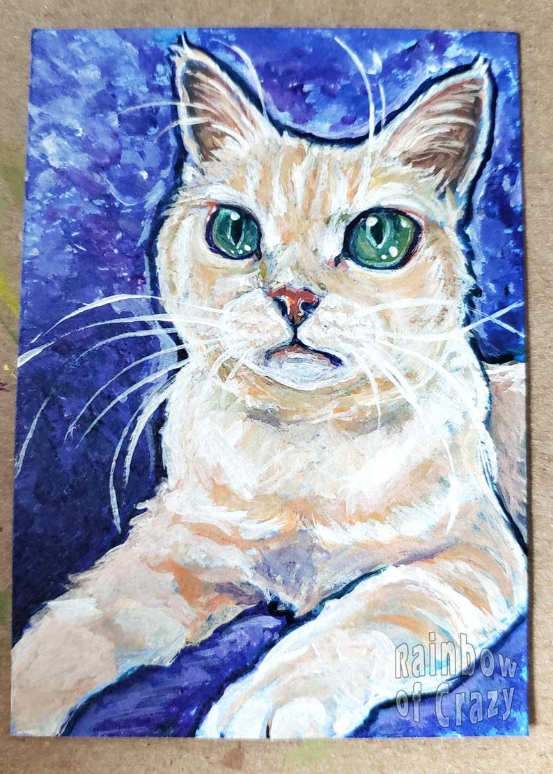 May include: A painting of a cat with green eyes and a light orange and white coat against a blue background. The cat is looking directly at the viewer. The painting is signed "Rainbow of Crazy".