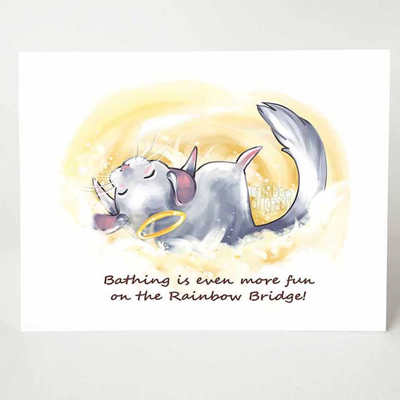 May include: A watercolor illustration of a gray chinchilla with a halo, bathing in a yellow and white cloud. The text "Bathing is even more fun on the Rainbow Bridge!" is below the chinchilla.