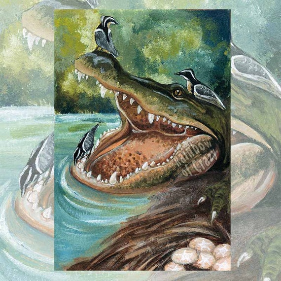 Alligator Art Any Size Print Bird Illustration Crocodile - Etsy