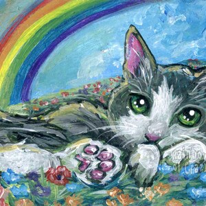 May include: A colorful painting of a cat lying in a field of flowers under a rainbow. The cat has green eyes, gray and white fur, and pink accents on its ears and paws. The text "rainbow of crazy" is visible.
