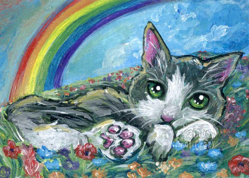 May include: A colorful painting of a cat lying in a field of flowers under a rainbow. The cat has green eyes, gray and white fur, and pink accents on its ears and paws. The text "rainbow of crazy" is visible.