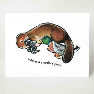 Jolie carte ornithorynque, Saint-Valentin, canard colvert, amoureux des animaux, paire parfaite, je t'aime, joyeux anniversaire, pour le meilleur ami, art besties