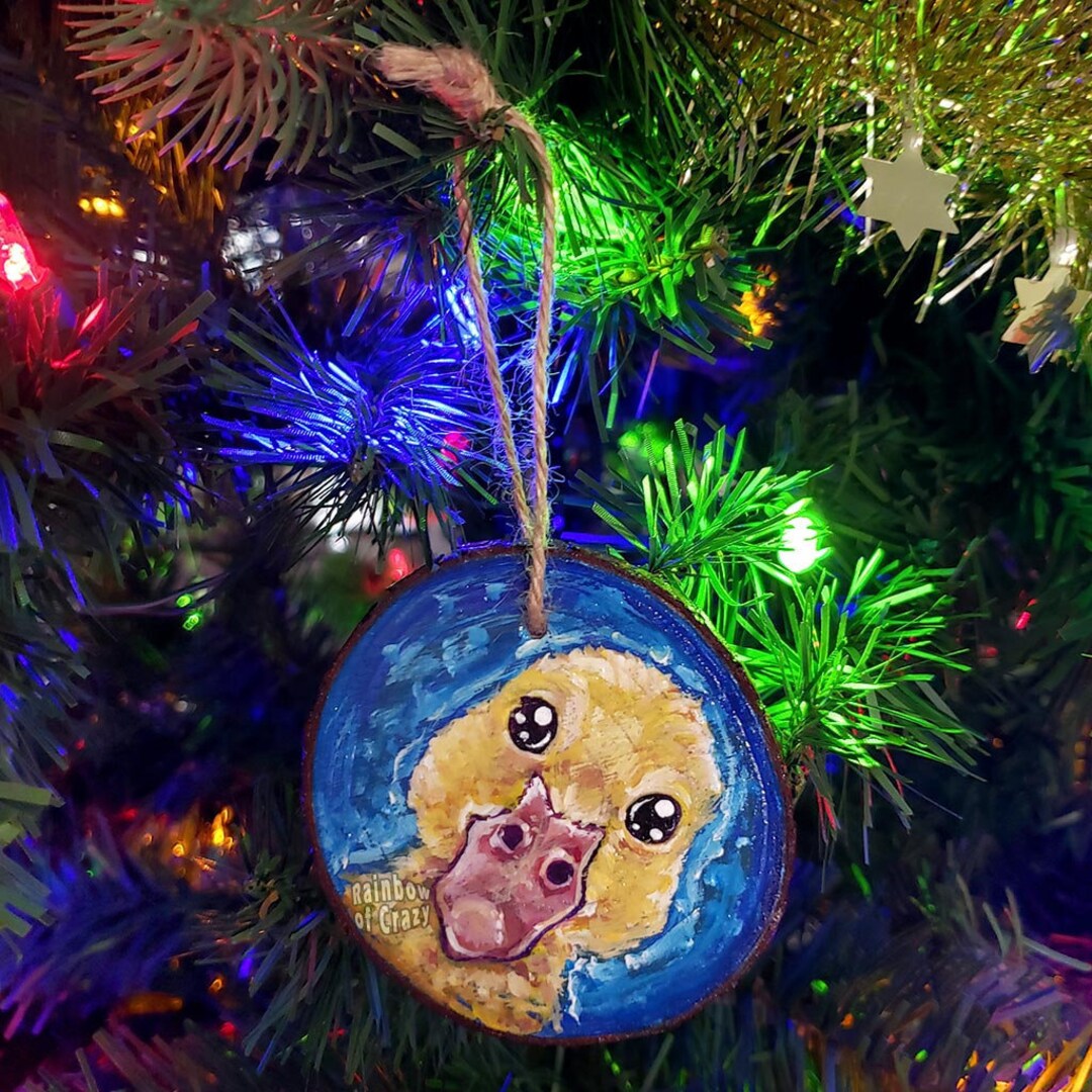 Baby Duck Ornament Christmas Hanging Natural Decor Tree Etsy