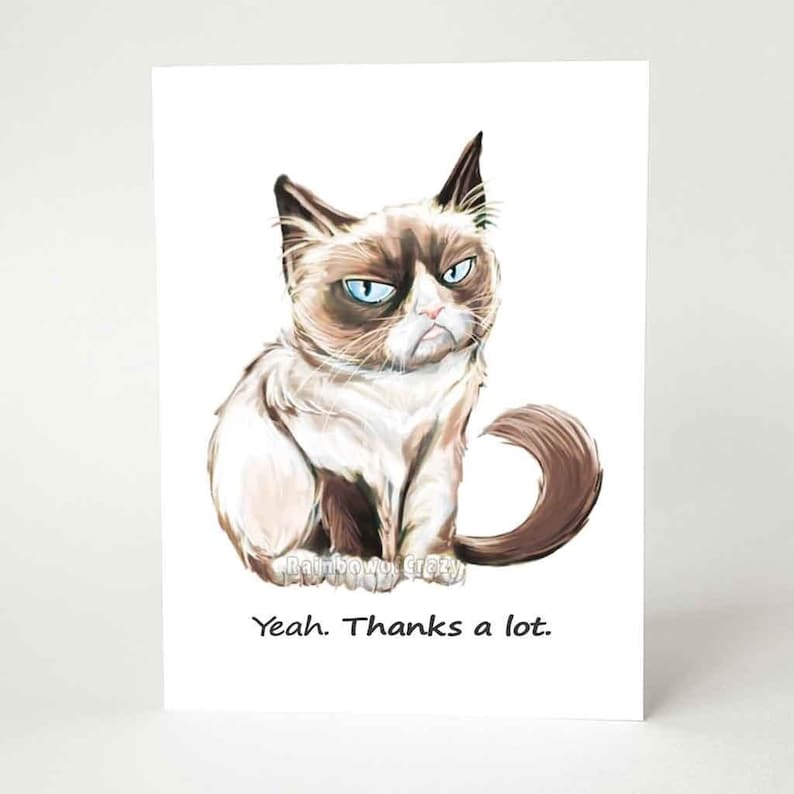 a greeting card featuring an illustration of a very grumpy brown and white cat with blue eyes. underneath the cat is the text, "Yeah. Thanks a lot."