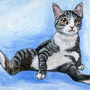 May include: Watercolor painting of a relaxed cat with gray and black stripes, white chest, and yellow eyes. The cat is lying down on a blue background, with one paw extended. The text "rainbow of crazy" is visible.