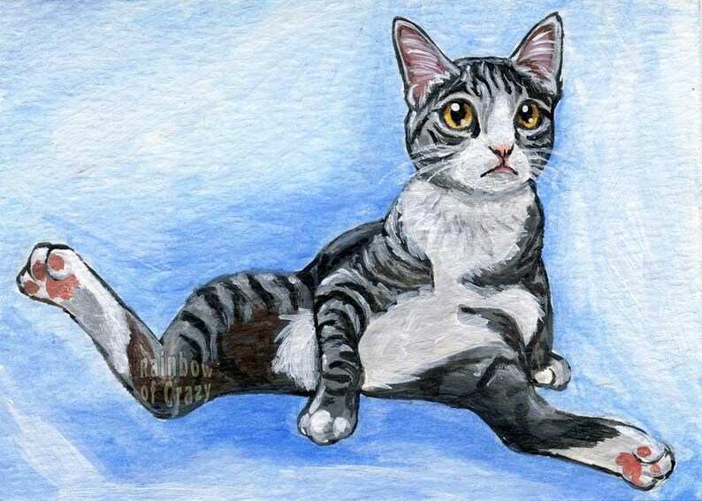 May include: Watercolor painting of a relaxed cat with gray and black stripes, white chest, and yellow eyes. The cat is lying down on a blue background, with one paw extended. The text "rainbow of crazy" is visible.