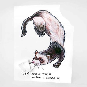 Carte furet drôle pour propriétaire d'animal de compagnie, joyeux anniversaire, Saint-Valentin, carte d'anniversaire, amoureux des animaux, merci, sympathie la plus profonde, perte d'animal de compagnie