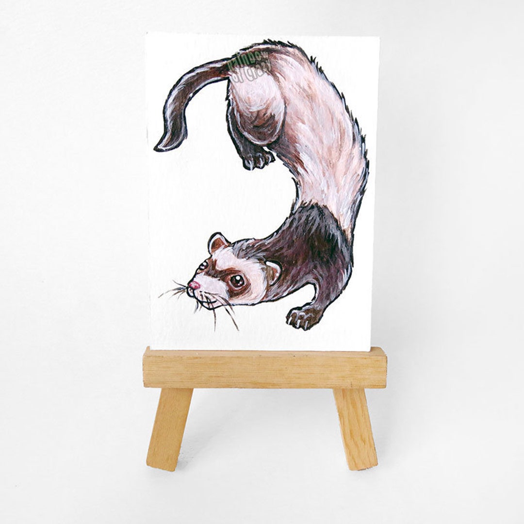 Cute Ferret Art ACEO Original Pet Portrait Ferret Lover Etsy Hong Kong