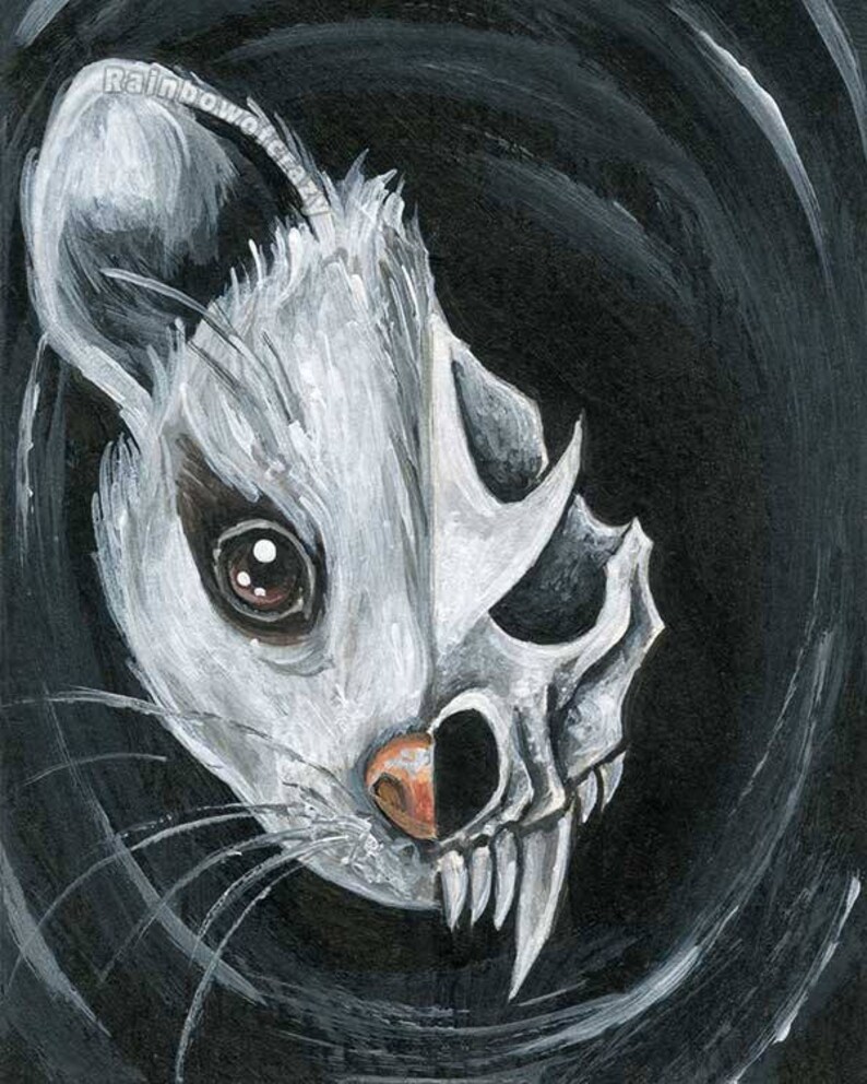 Possum Wall Art Oppossum Skull Custom Print Size Wildlife - Etsy Canada