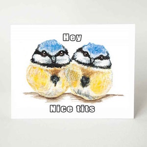 Carte amusante, beaux seins, mésange bleue, carte pour les amateurs d'oiseaux, humour pour adultes, carte personnalisée