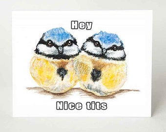 Funny Card, Nice Tits, Blue Tit, Card for Bird Lovers, Adult Humor, Personalised Card