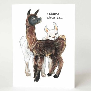 Carte de lama, je t'aime, salutation drôle, message personnalisé, merci, joyeux anniversaire, saint valentin, amoureux des animaux de la ferme, pour agriculteur, blanc