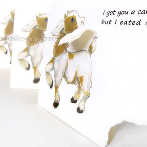 May include: A series of white greeting cards with a watercolor illustration of a goat. The goat is brown and white, with the text "I got you a card but I eated it". The website rainbowofcrazy.com is also visible.