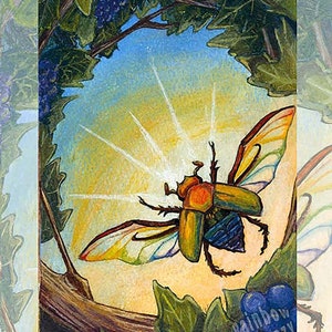 May include: A colorful beetle with iridescent wings flies against a bright yellow and blue sky. The beetle is green, yellow, and orange with black legs. The beetle is flying above a branch with green leaves and purple berries. The text "rainbow of crazy" is visible in the lower right corner of the image.