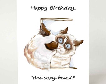 Grumpy Cat Card, Funny Birthday Card, Sexy Beast, Card for Animal Lover, Pet Owner, Meme Lover, Custom Card