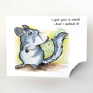 Jolie carte pour Chinchilla, Carte amusante, Carte de voeux vierge, Message personnalisé, Amoureux des animaux, Art animalier, Très faim, Joyeux anniversaire, Amitié