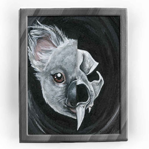 Evil Koala Bear Koala Facts And Statistics | IFAW