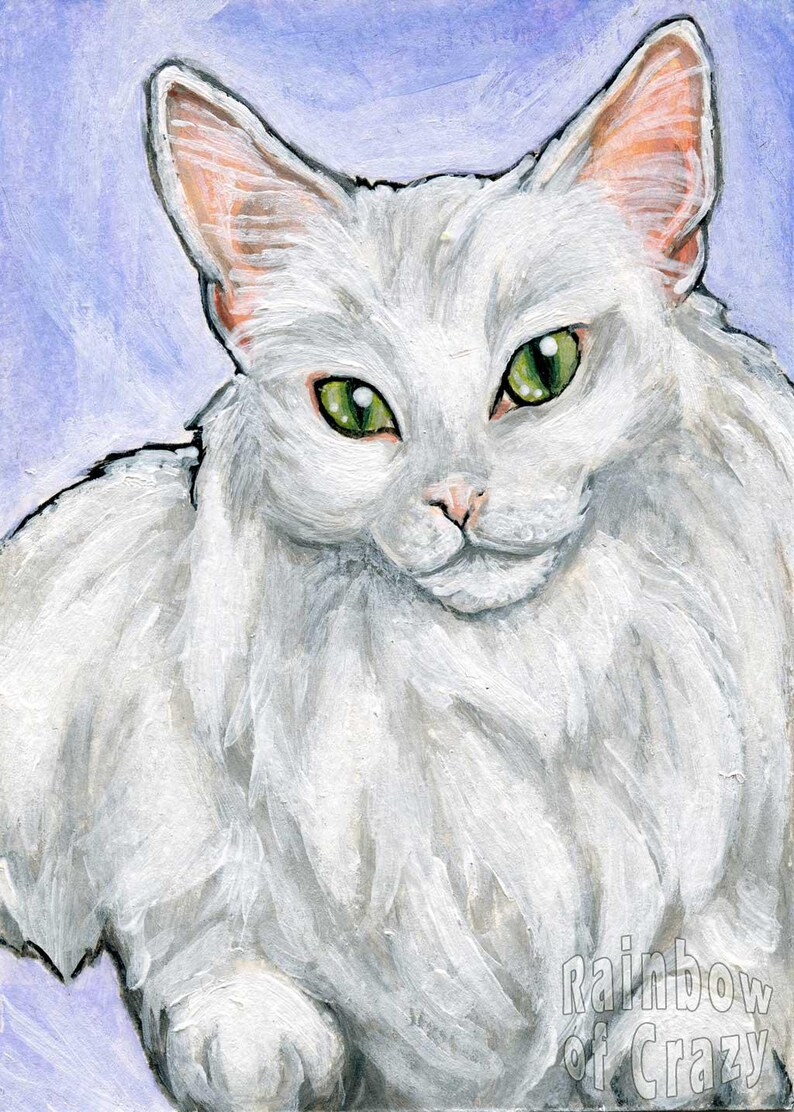 May include: A painting of a white cat with green eyes and pink ears. The cat has fluffy white fur and is set against a light purple background. The artwork is signed "Rainbow of Crazy" in the bottom right corner.