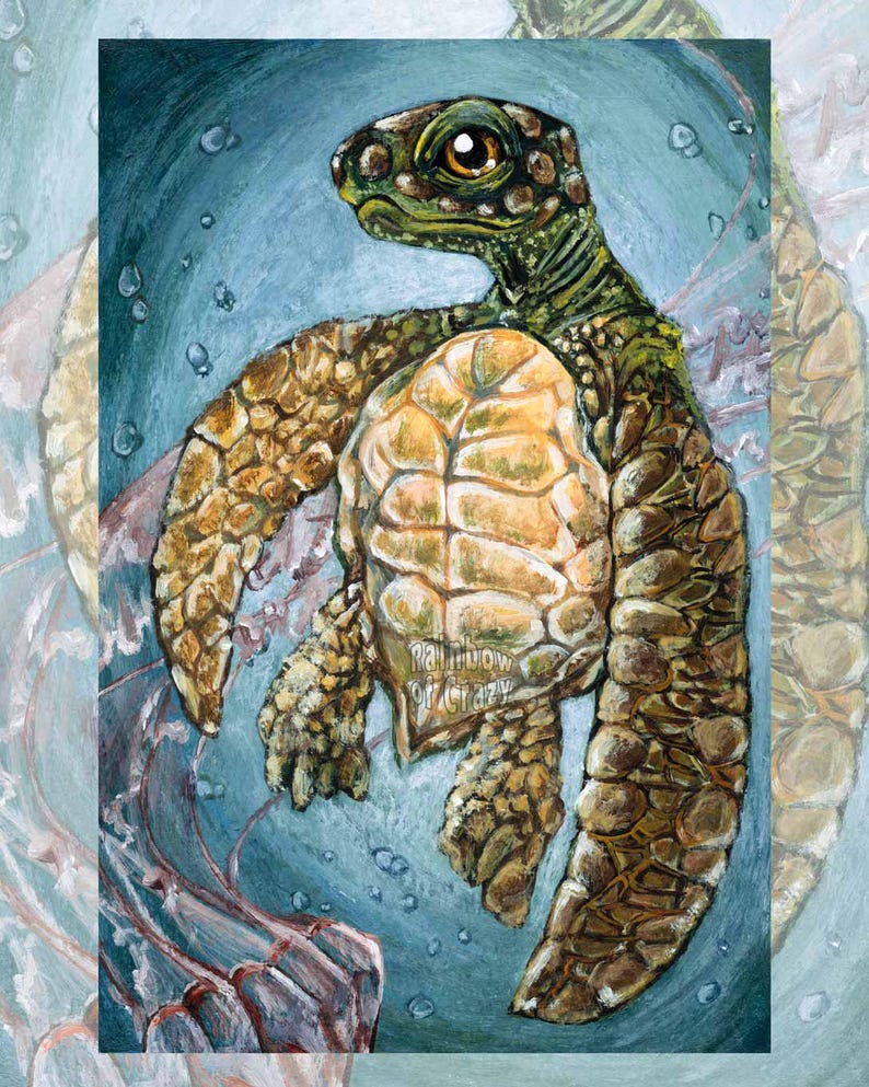 May include: An artistic painting of a sea turtle with a light brown shell and a green head and limbs. The turtle is surrounded by a blue background with bubbles and a jellyfish. The text "Rainbow or Crazy" is on the turtle's shell.