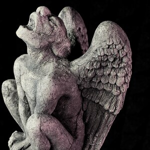 K&ouml;nnte beinhalten: Verwitterte, graue Gargoyle-Statue mit gro&szlig;en, detaillierten Fl&uuml;geln und offenem Mund. Die Skulptur befindet sich in sitzender Position, mit sichtbaren Rissen, die zu ihrem gealterten Aussehen beitragen. Der Hintergrund ist schwarz.