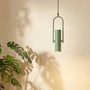 May include: A modern, sage green pendant light hangs from the ceiling, casting a warm glow. Large potted plants, including a Monstera and a fern, sit in terracotta pots. The scene is bathed in soft light, creating a serene, indoor garden atmosphere.