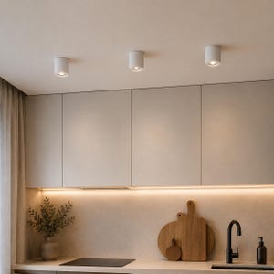 Può includere: Tre faretti cilindrici bianchi montati a soffitto sono installati sopra mobili da cucina di colore chiaro. La cucina presenta un piano di lavoro liscio, un rubinetto nero, un dispenser di sapone scuro, taglieri in legno e una pianta.