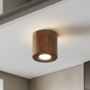 Trätakspotlight: Svart cylinderlampa och enkel lampa