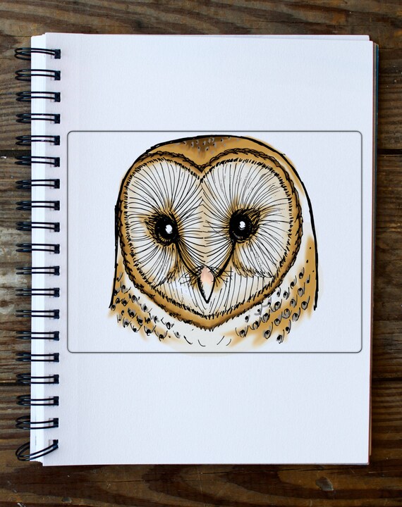 Barn Owl Coloring Page Instant Pdf Download Adult Coloring Etsy