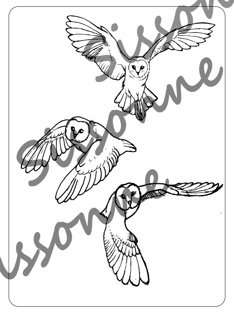 5300 Whimsical Bird Coloring Pages  Images