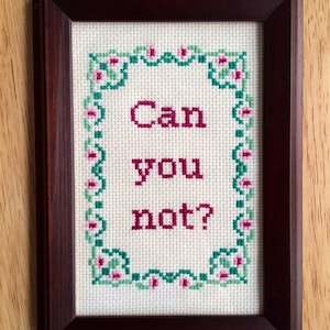 PATTERN Can You Not Funny Subversive Cross Stitch Instant Download