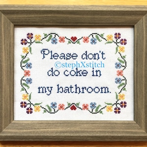 May include: Cross-stitch embroidery framed in a dark wood frame with a white background and colorful flowers around the border. The text reads "Please don't do coke in my bathroom."