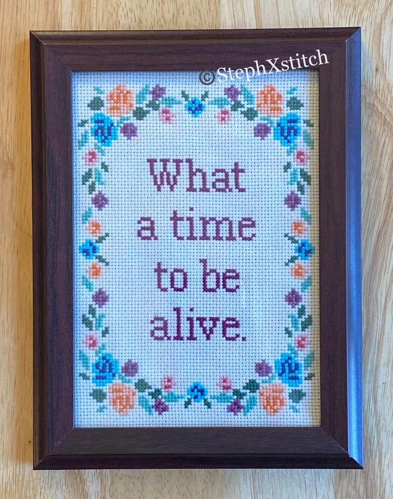 What A Time To Be Alive Cross-Stitch Pattern PDF Téléchargement instantané image 4