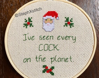 PATTERN I've Seen Every Cock On the Planet Santa I Think You Should Leave Cross Stitch Instant Download .PDF