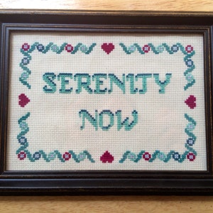 MUSTER Serenity Now Kreuzstich Lustige Subversive PDF Sofort Download Anleitung