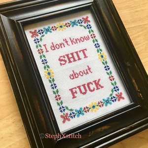 Peut inclure: Une broderie au point de croix encadrée dans un cadre noir vieilli. Le tissu blanc porte l'inscription "I don't know SHIT about FUCK" en rouge, entourée d'une bordure florale multicolore. Le nom de l'artiste est visible.