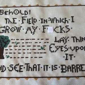 PATTERN MATURE Behold the Field in Which I Grow My F-ucks Tapestry Meme Cross Stitch image 3