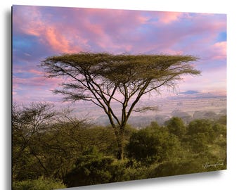 Acacia Tree In Kenya African Landscape Photography Print Sunset Sky Nature Wall Art