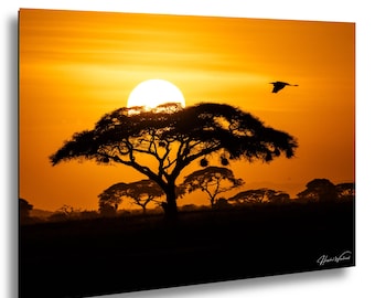 African Sunset With Acacia Tree And Bird Over Savannah Kenya Wildlife Photography Print