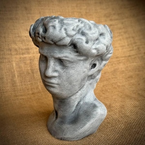 May include: A gray bust of David, a classical sculpture, is displayed. The bust is made of a textured material and features detailed facial features and curly hair. The sculpture is set against a neutral background.