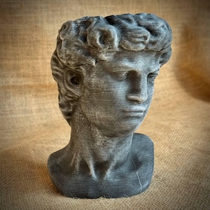 May include: A gray bust of a classical male figure with detailed facial features and curly hair. The sculpture has a weathered appearance, suggesting an aged or antique aesthetic. The bust is a decorative item, likely for home decor.