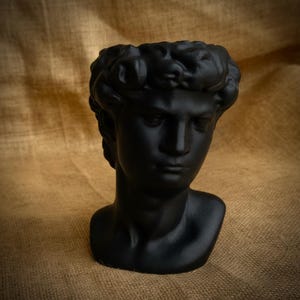 May include: A matte black bust of David, a classical sculpture. The bust features detailed facial features and curly hair, set against a neutral background. The sculpture is a decorative item.