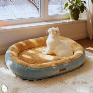 Peut inclure: Un chat blanc est assis dans un lit pour animaux de compagnie en forme d'ovale et en peluche. Le lit a un extérieur bleu clair et un intérieur duveteux de couleur beige. Le lit est sur un tapis blanc et touffu près d'une fenêtre avec une vue enneigée.